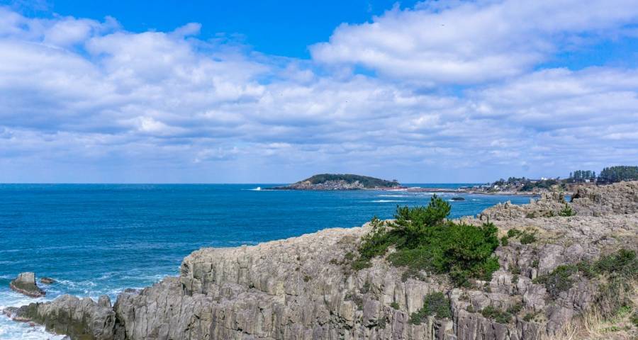 家电厂商的痛苦并不是用户消失了-家电圈官网