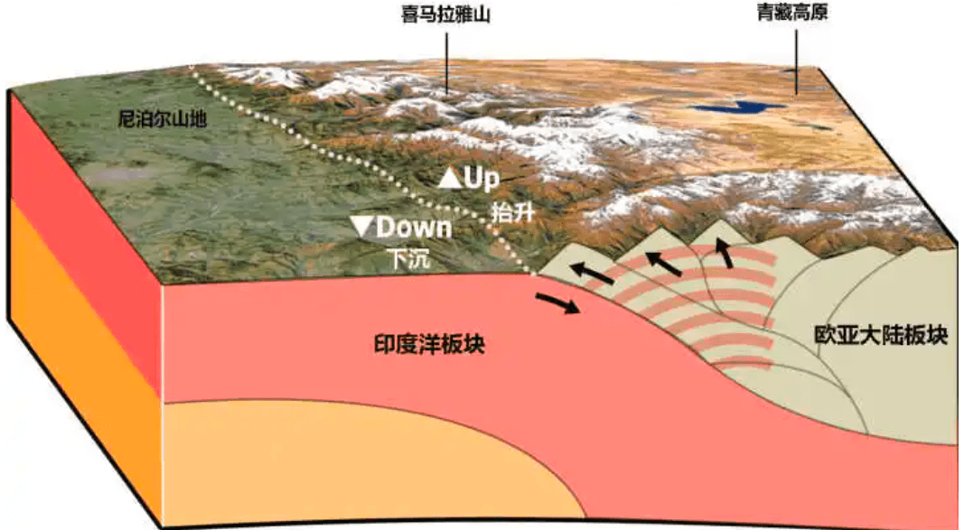 印度板塊和亞洲板塊發生了碰撞,喜馬拉雅山脈才因此形成