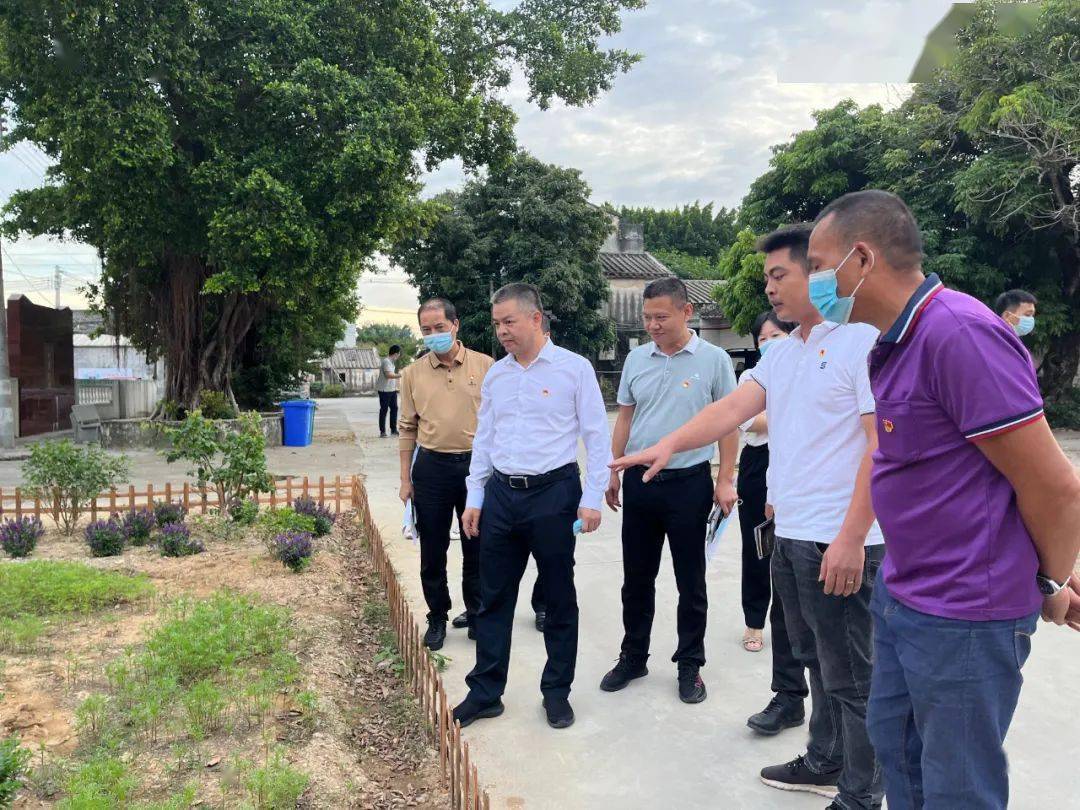 时政要闻 | 区委书记王楚彬带队到上华镇横陇村,太