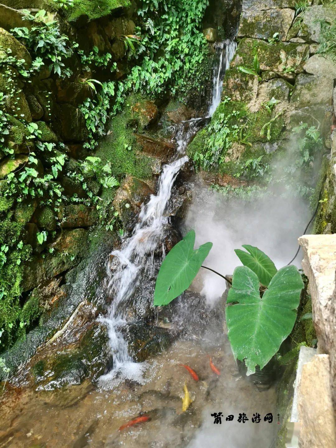 峡谷_莆田_石门