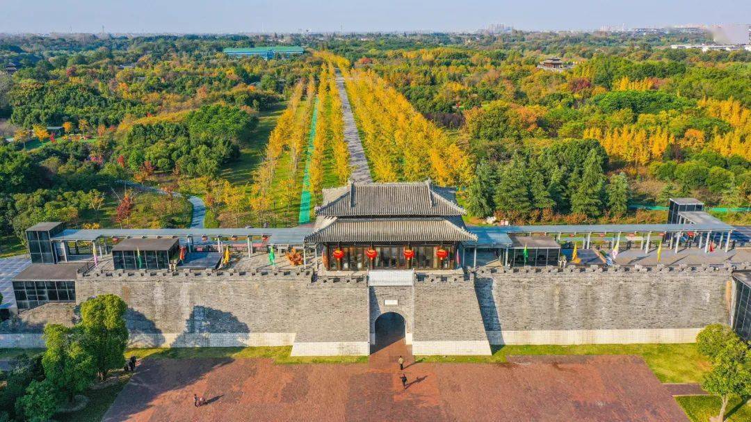 周末,到宋夹城寻"金"吧!_扬州_黄金甲_颜色