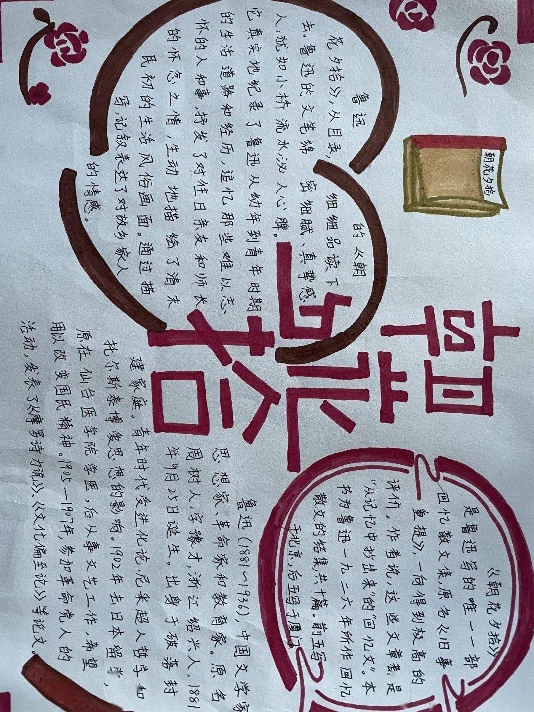 双减手抄报的文字图片