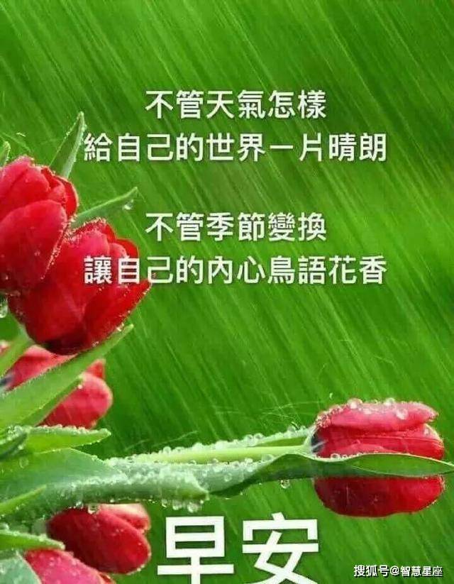 雨天早安问候语图片