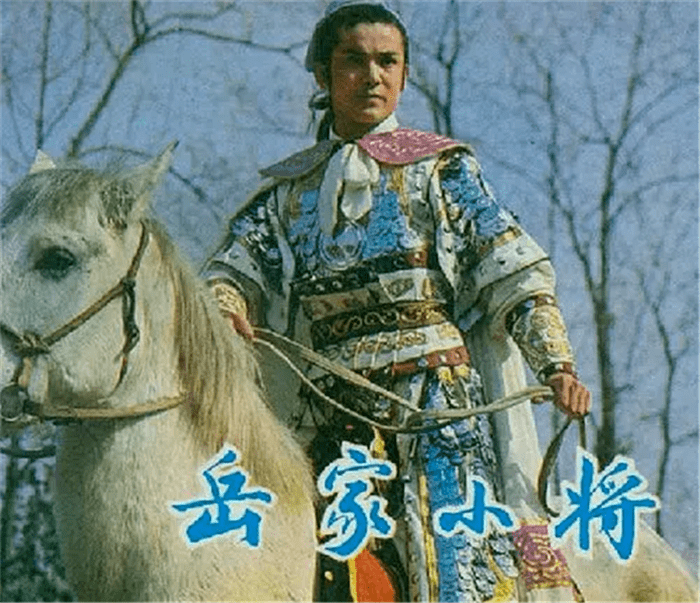 38年前的《岳家小将》：配角均是武林高手，女配角息影多年