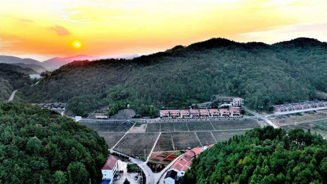10月21日,在荆州松滋市刘家场镇西部的山林里,运输管道的工人们喊着