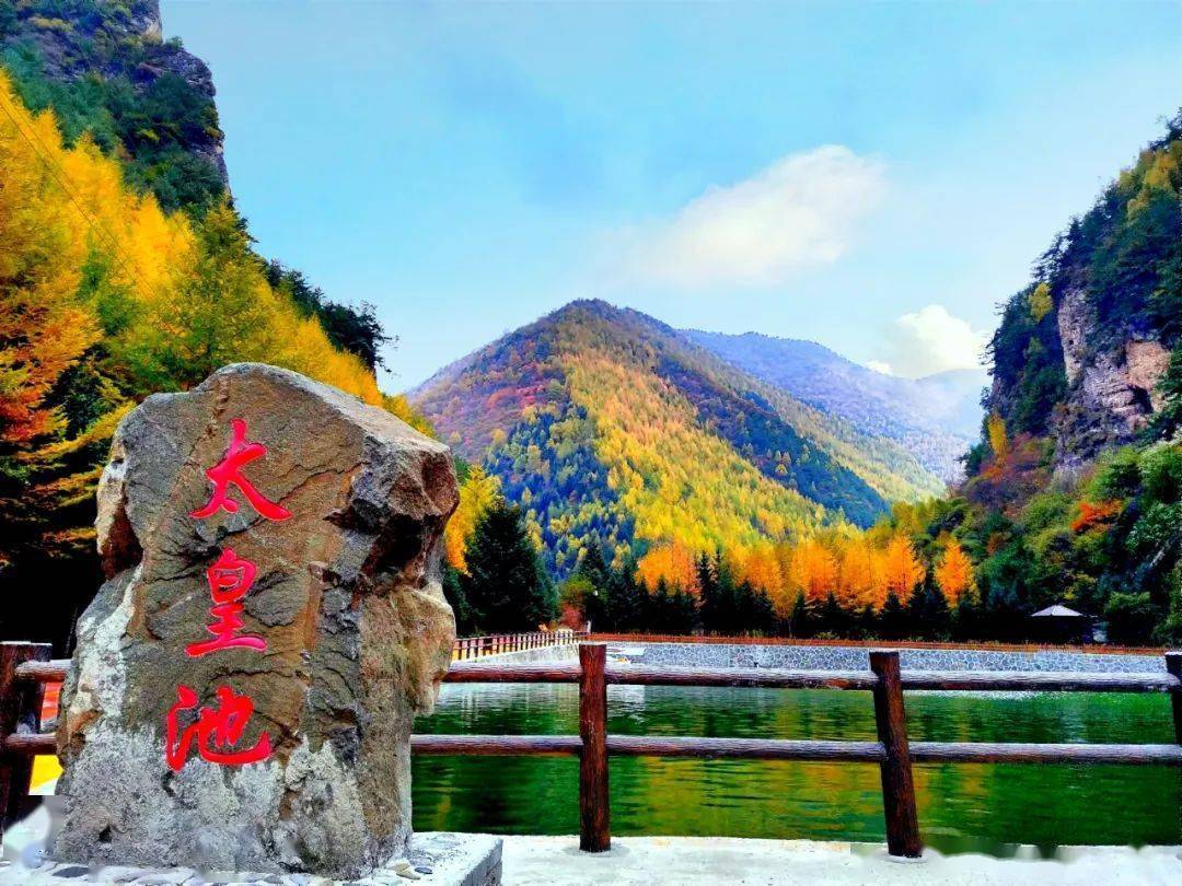 瞬间感受到大自然的鬼斧神工,踏着地毯般的落叶漫步于卧牛山森林公