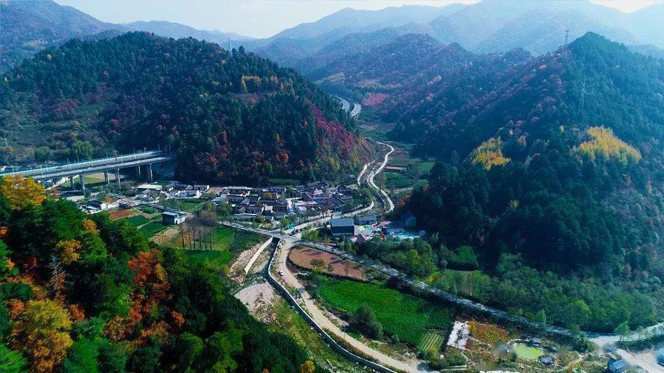 视频 图文丨麦积区党川镇秋景:绚丽多姿如诗 五彩斑斓似画_莫哲涛