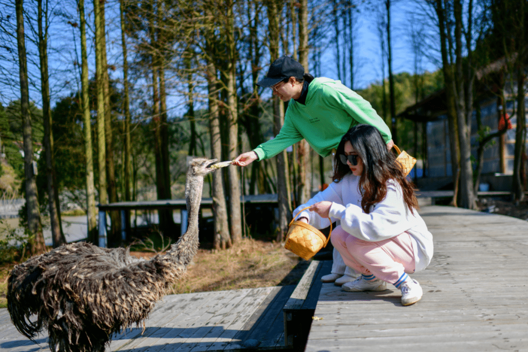 上榜“全球十大必住美宿”！把房间藏进悬崖峡谷，百亩梯田栈道，露天温泉泡汤，360°视野实的绝！