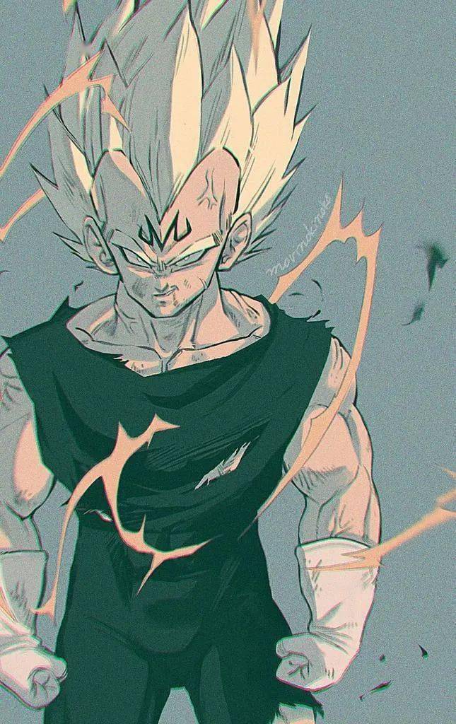 七龙珠壁纸:孤傲的贝吉塔