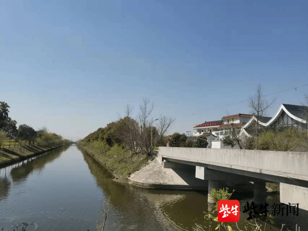泰兴市河失镇同心村 举全村之力 推进美丽宜居整体村庄建设_殷群_中沟