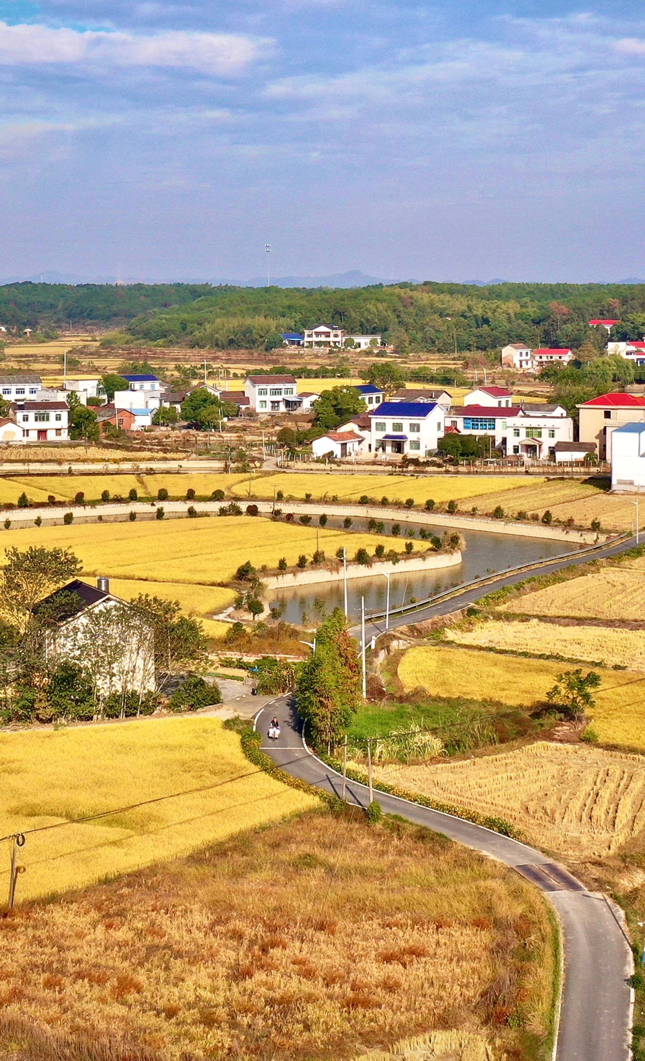 长沙县青山铺远景规划图片