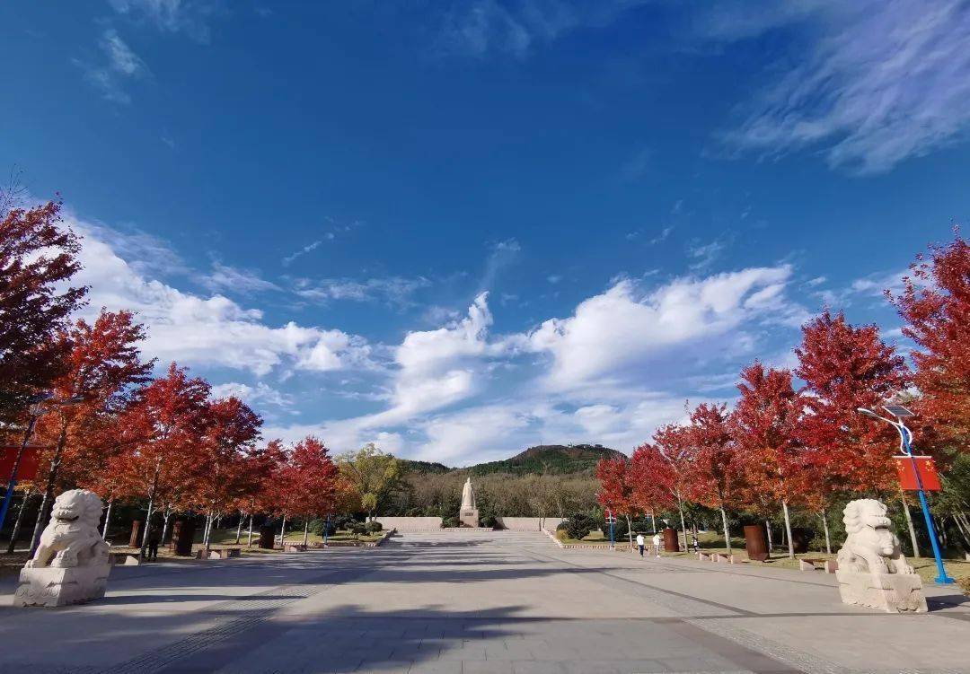 【美图】金秋时节风光美,马山公园旖旎景色惹人醉_秋韵_秋叶_即墨