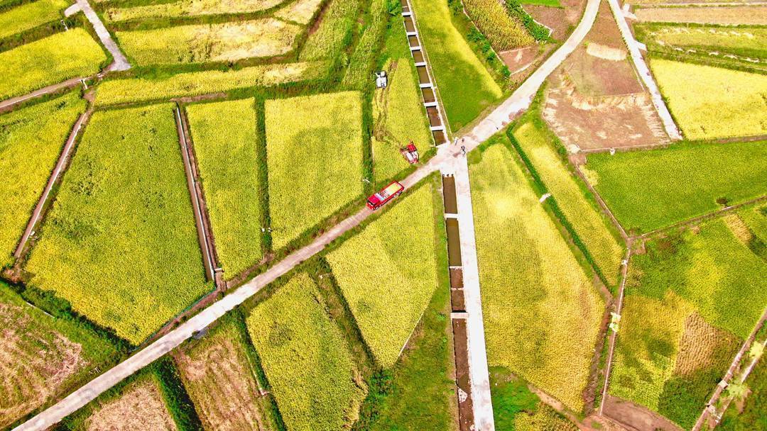 近日,在四川省泸州市龙马潭区金龙镇塘坡村高标准农田项目现场,工人们