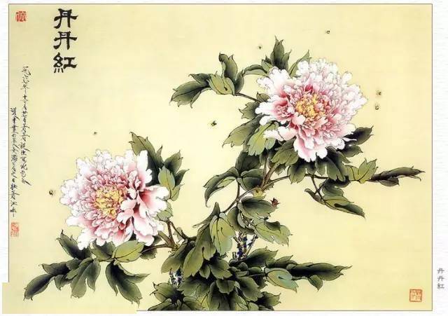 王道中工笔牡丹欣赏,张张精彩!_花鸟画_画集_白描