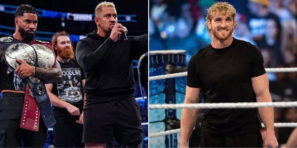 西科亚称赞罗根保罗是一位出色的选手_logan_paul_宝珠