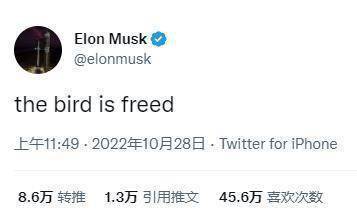 马斯克完成收购后在推特上发文：鸟儿自由了