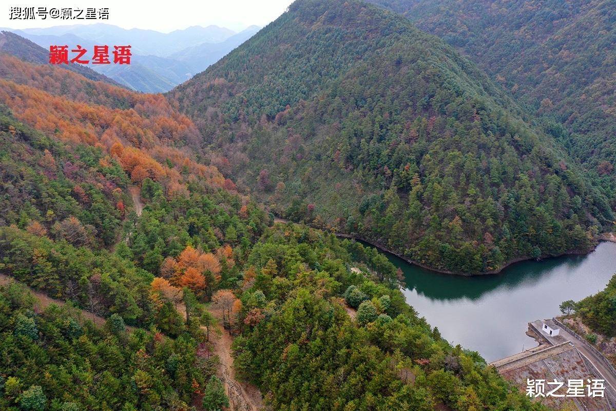 宁波最美金光大道，美得能够封神，请抵抗汽车摧残浪费蹂躏光景