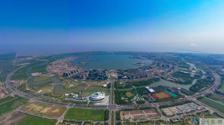 完善前沿产业生态、强化科技创新体系，临港国际创新协同区发挥示范带动效应_新片_企业_发展