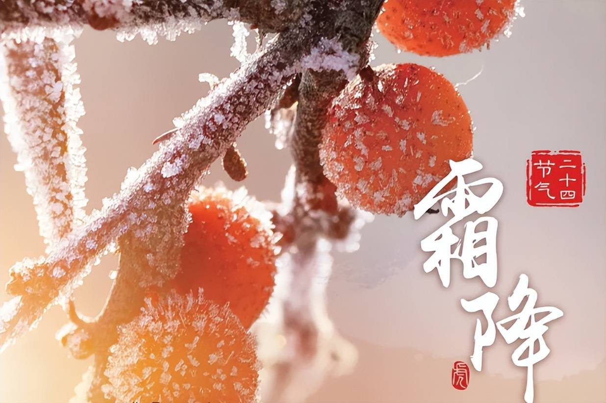 霜降节气过后为什么要喝酒？ 白酒应该怎么喝？ 有什么注意事项？