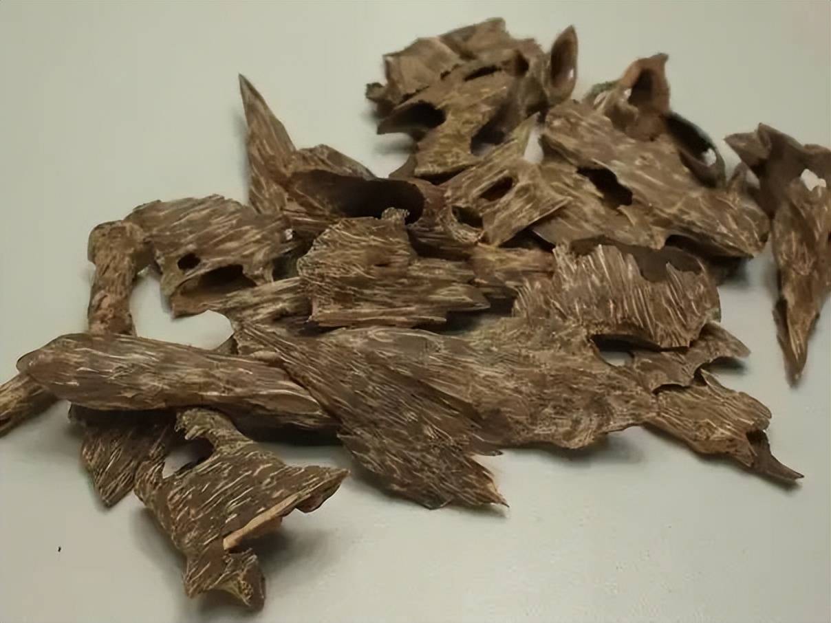 沉香的抗菌作用和药用_调节_香味_运行