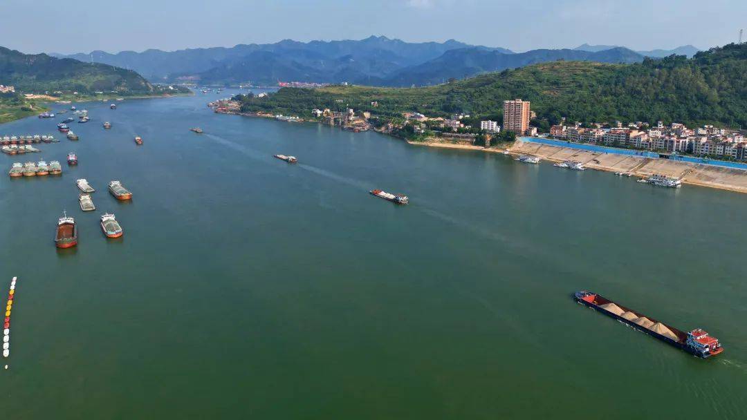 西江水韵,满眼风光入画来_郁南_船只_显得