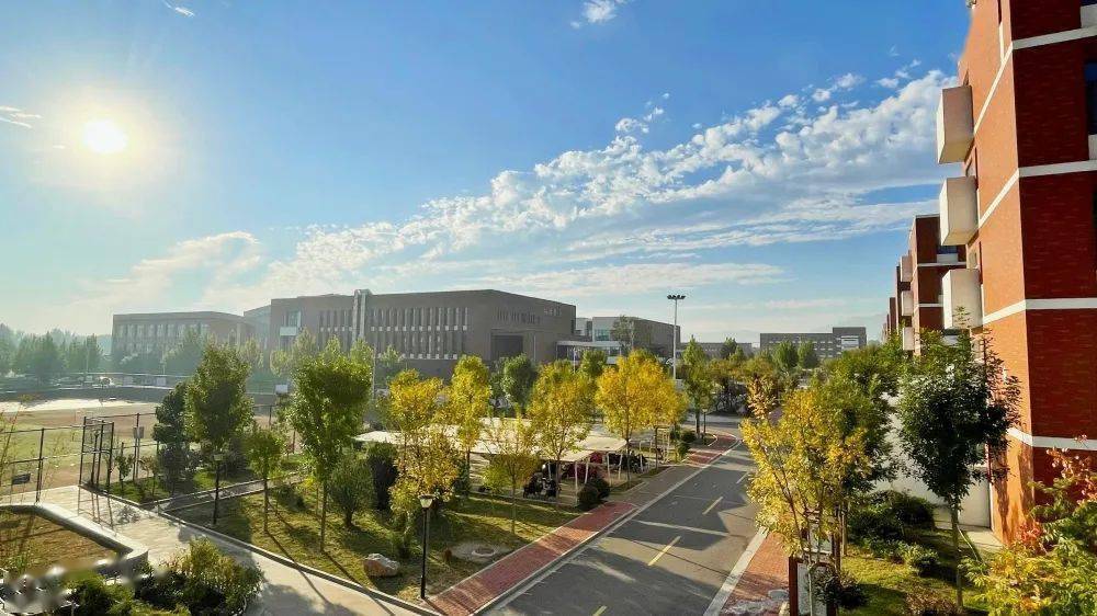 邹平二中:徜徉校园 醉美秋色_落叶_微风_山河