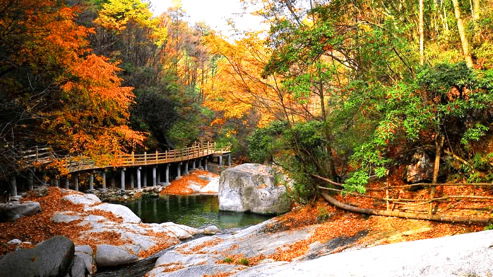 【周末3日自驾】巴中光雾山-米仓山,十八月谭,探寻那醉人的秋色!