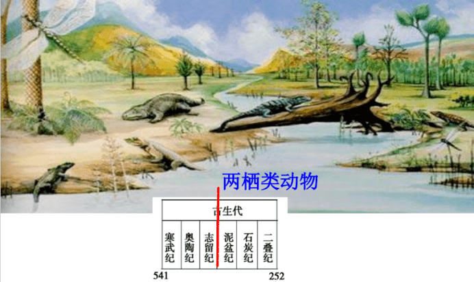 地球的演化过程_生物_化石_恐龙