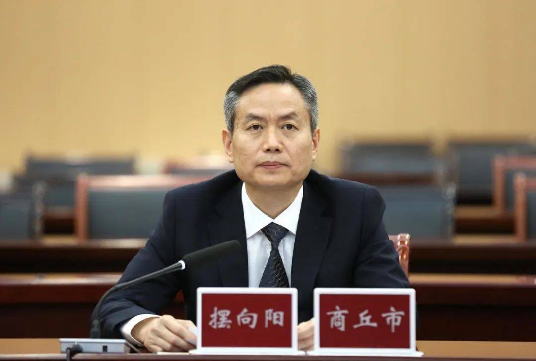 摆向阳参加并作主题汇报发言_发展_商丘市_全国