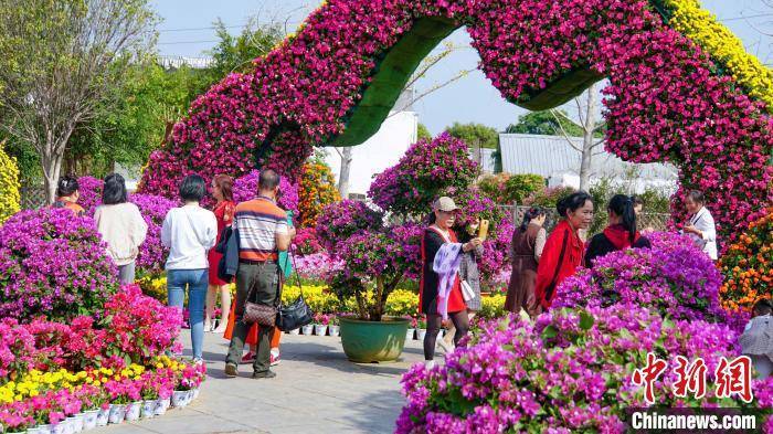 湖南苗木批发市场地址查询
