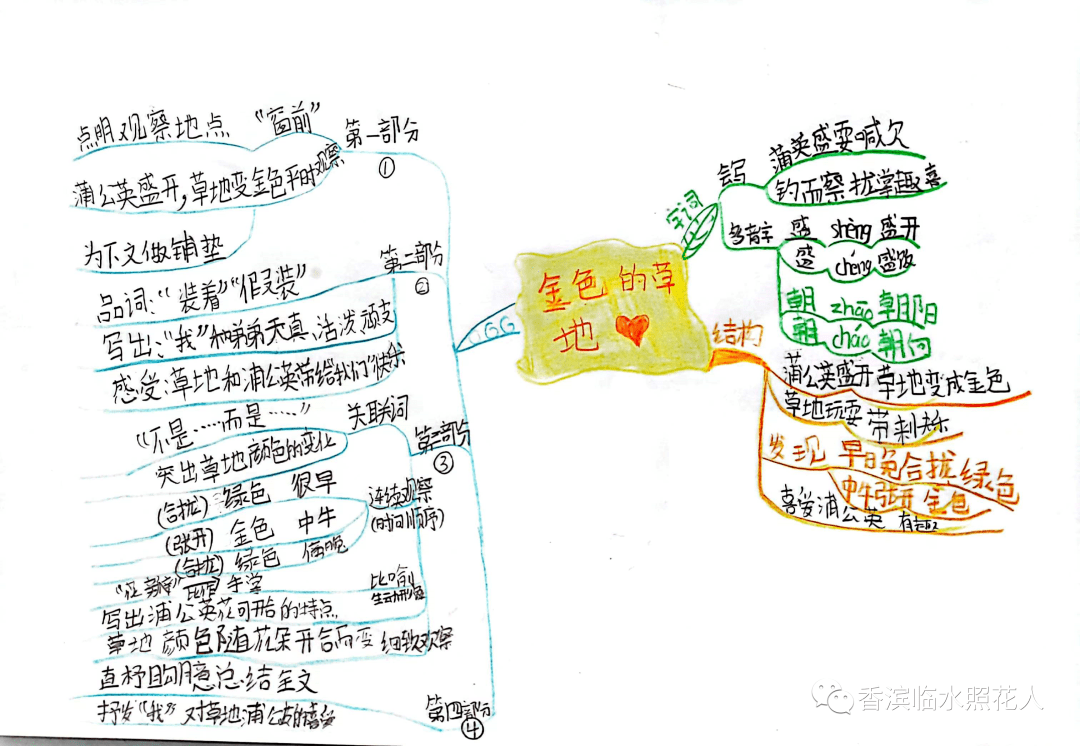 【线上学习,我和你在一起】思维导图《金色的草地》—三年四班学习