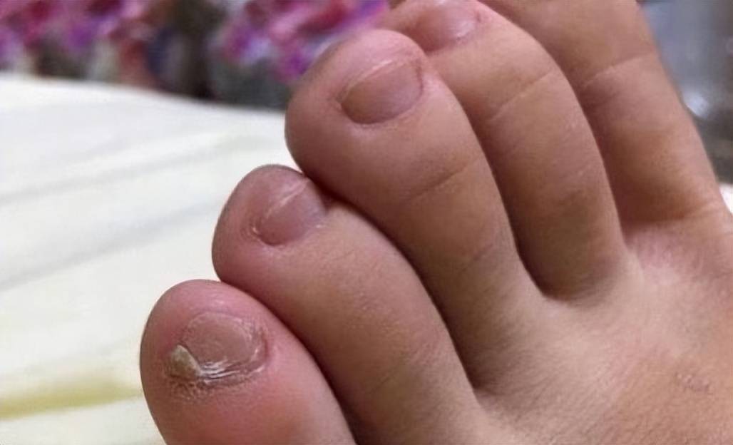 据说是纯种汉族人的象征,真的吗_山西_大槐树_移民