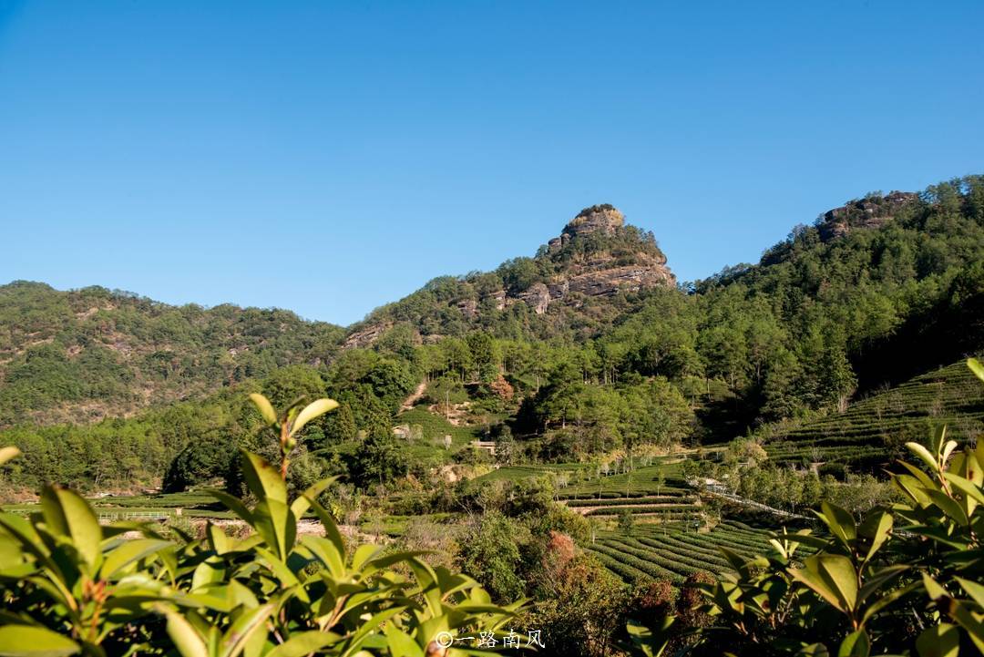 福建武夷山隐藏一个秘境,山清水秀让人着迷,正谷溪香就出自这里插图