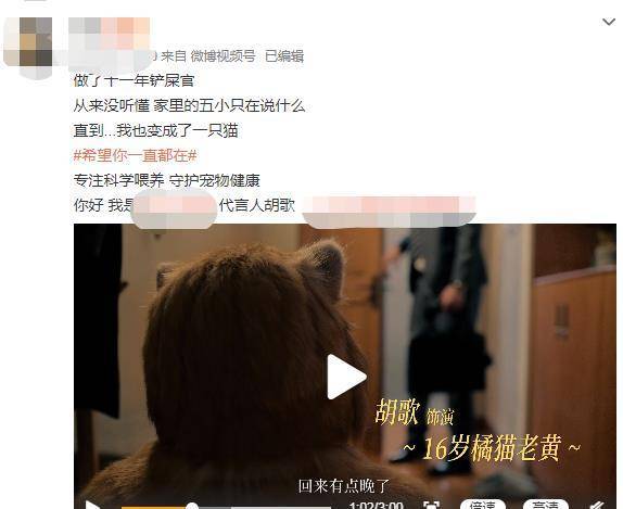 39岁胡歌卖萌饰演橘猫，人猫合一，男神演出打破新边界