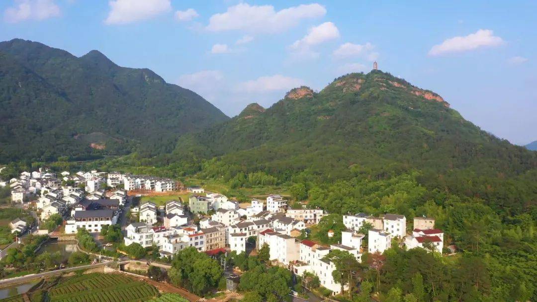 "一县一品"劳务品牌展示丨天台县"我们村"民宿经营_塔后村_乡村_就业