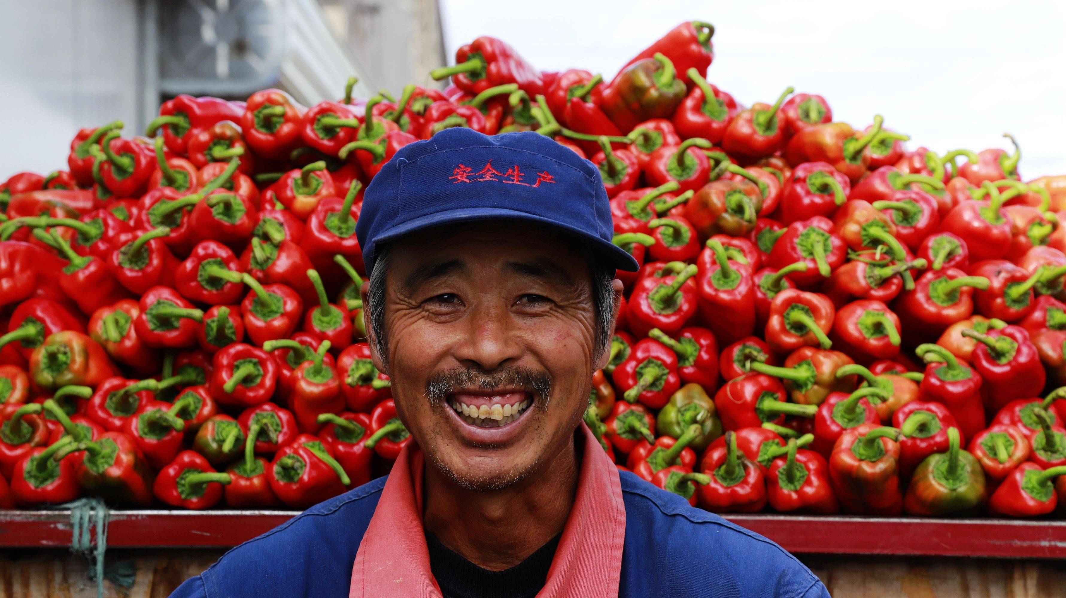 农民为啥富不起来?