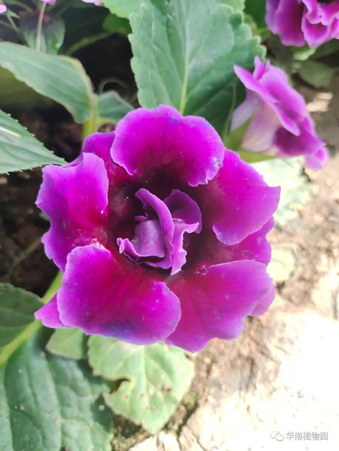 最佳旅游香港时间是几点_最佳旅游香港时间表_香港最佳旅游时间