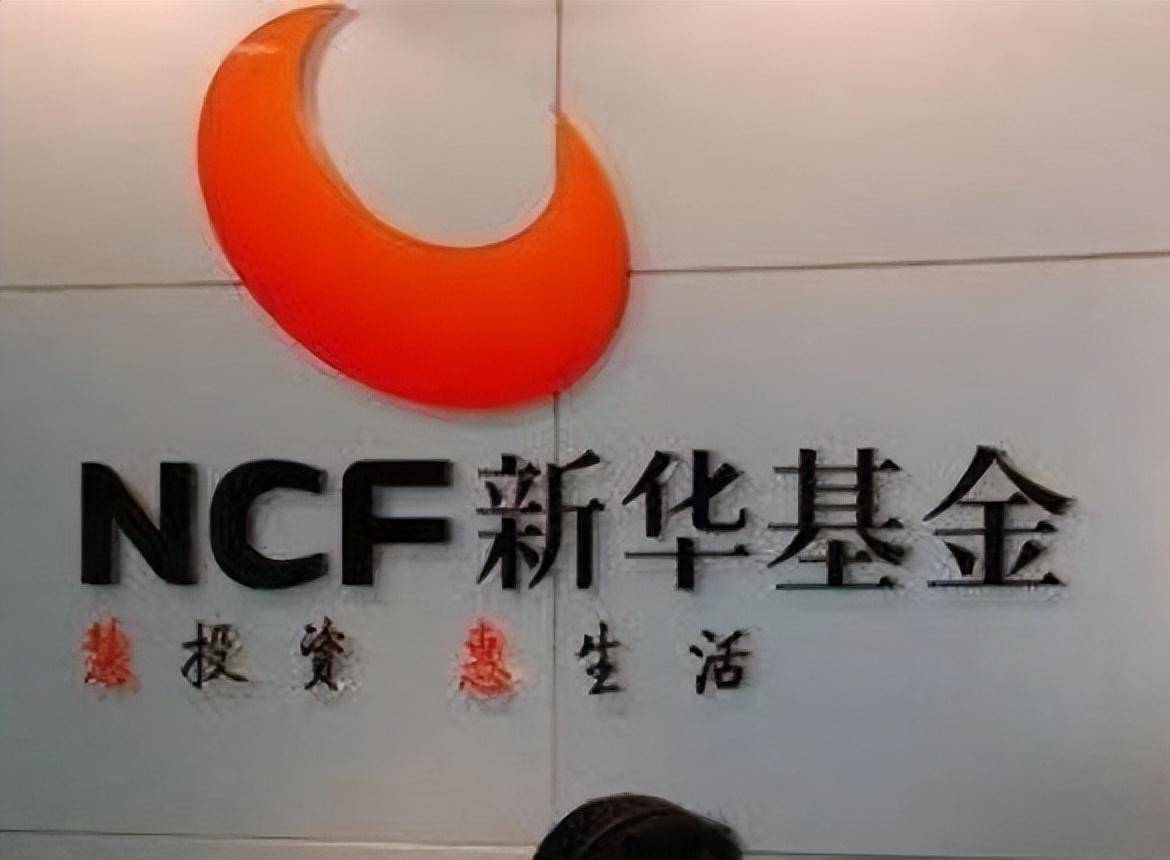 新华价值基金掉队原因曝光 或因换手率奇高频繁