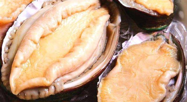 鲍鱼到底有多脏?