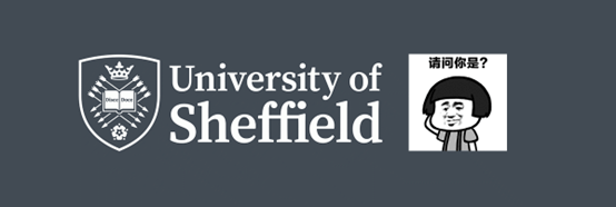 英国留学:谢菲尔德大学的新logo,少了亿点点细节……_doce_蓝色_盾牌