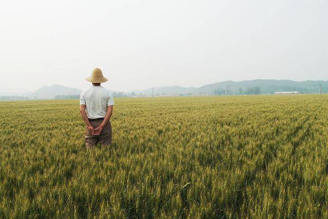 俗话说“不怕立冬龙王到，就怕立冬日头笑”，啥意思？有事理吗