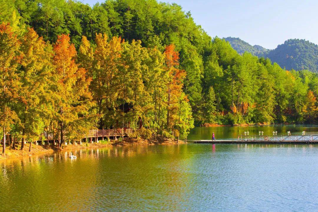 阳明山水 多彩崇义 i 2022阳明湖赏秋节,精彩活动带你嗨起来!