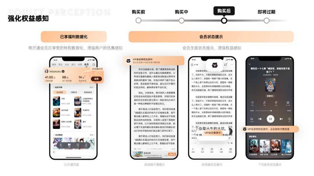 万万级小说产物，会员全链路设想复盘