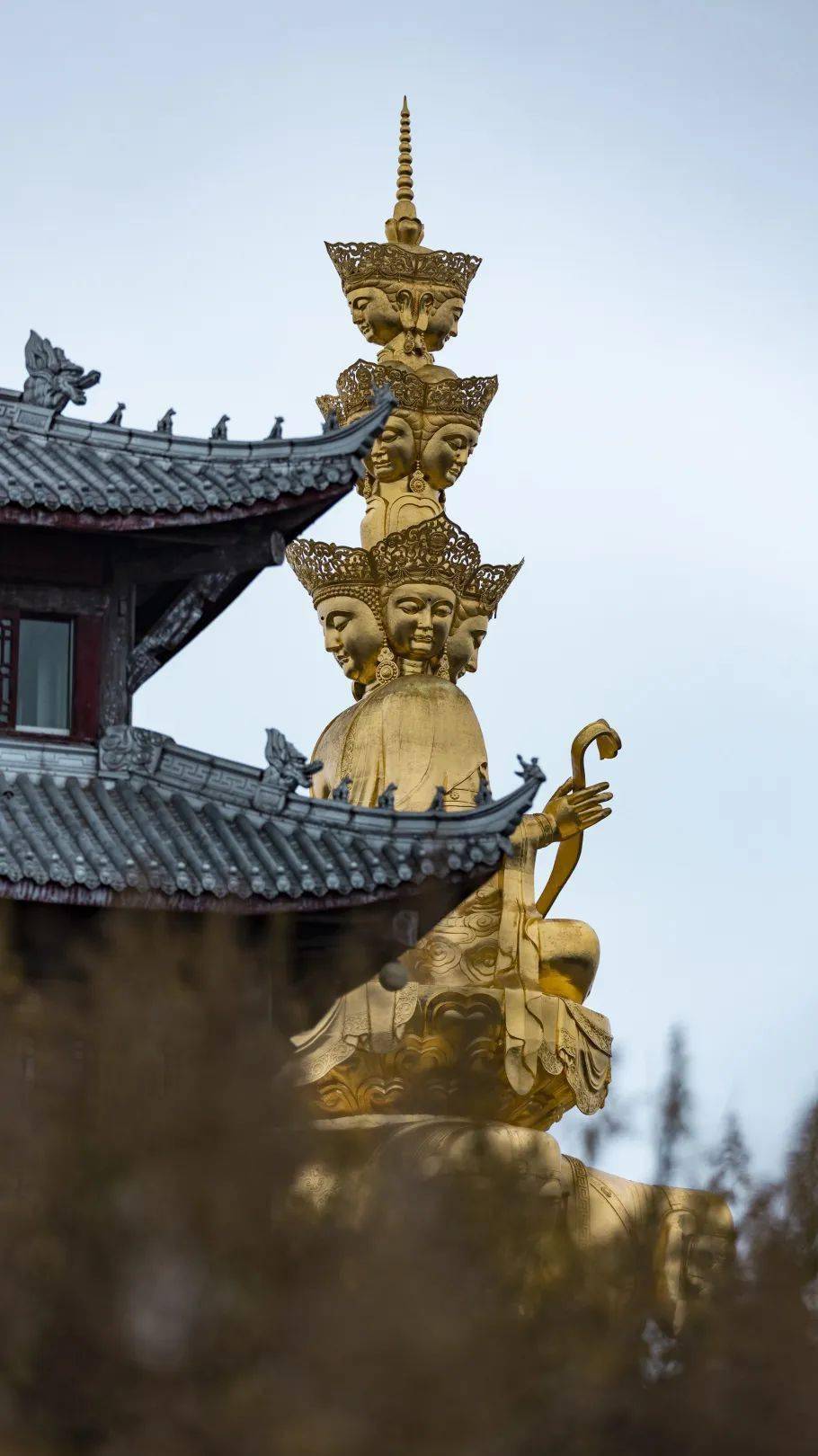 峨眉山八大彩林惊艳上线,错过又要等一年!_红叶_人间_七彩