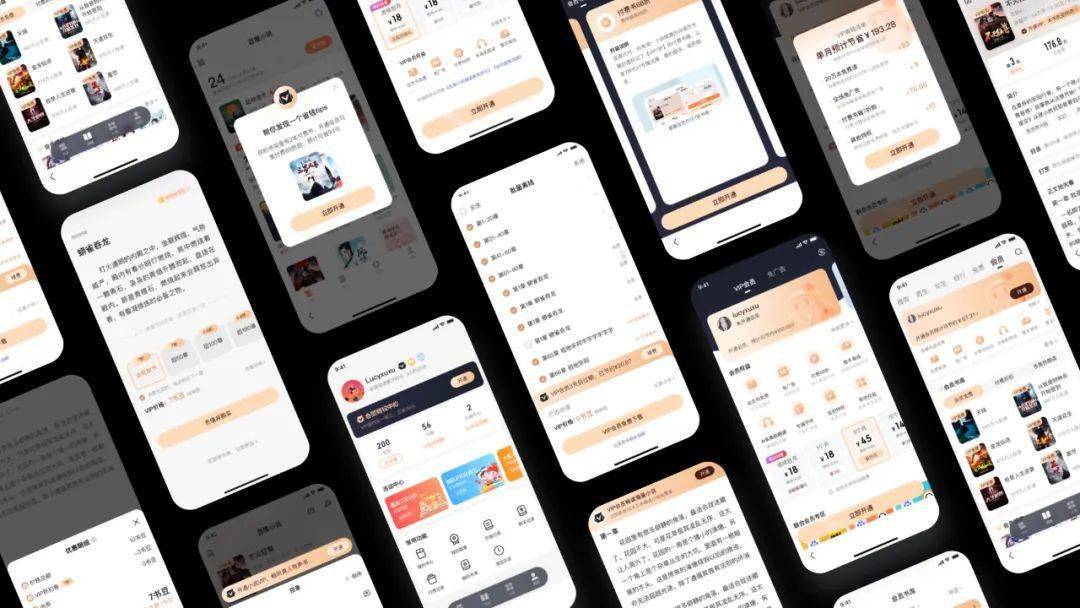 万万级小说产物，会员全链路设想复盘