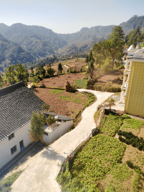 龙场镇黄腊村:抓好秋冬种 来年再丰收_种植_蔬菜_产业