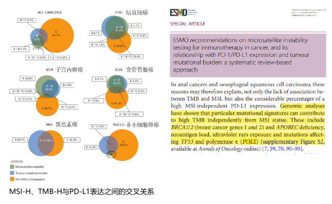 一文汇总 | 肿瘤突变负荷TMB检测常见问题