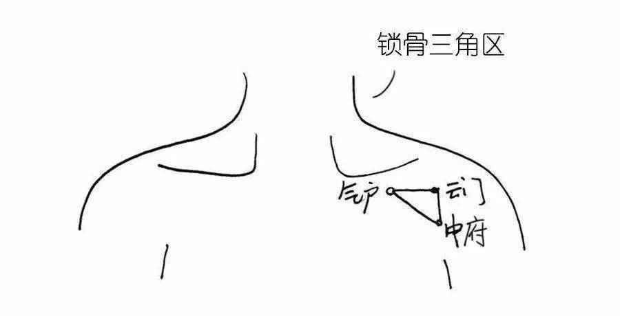 神奇的人体三角区,养好了,百病不扰!_金三角_区域_穴位
