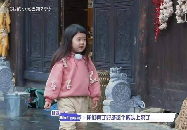 子女年龄相差过大若何相处？《我的小尾巴2》曲面社会问题