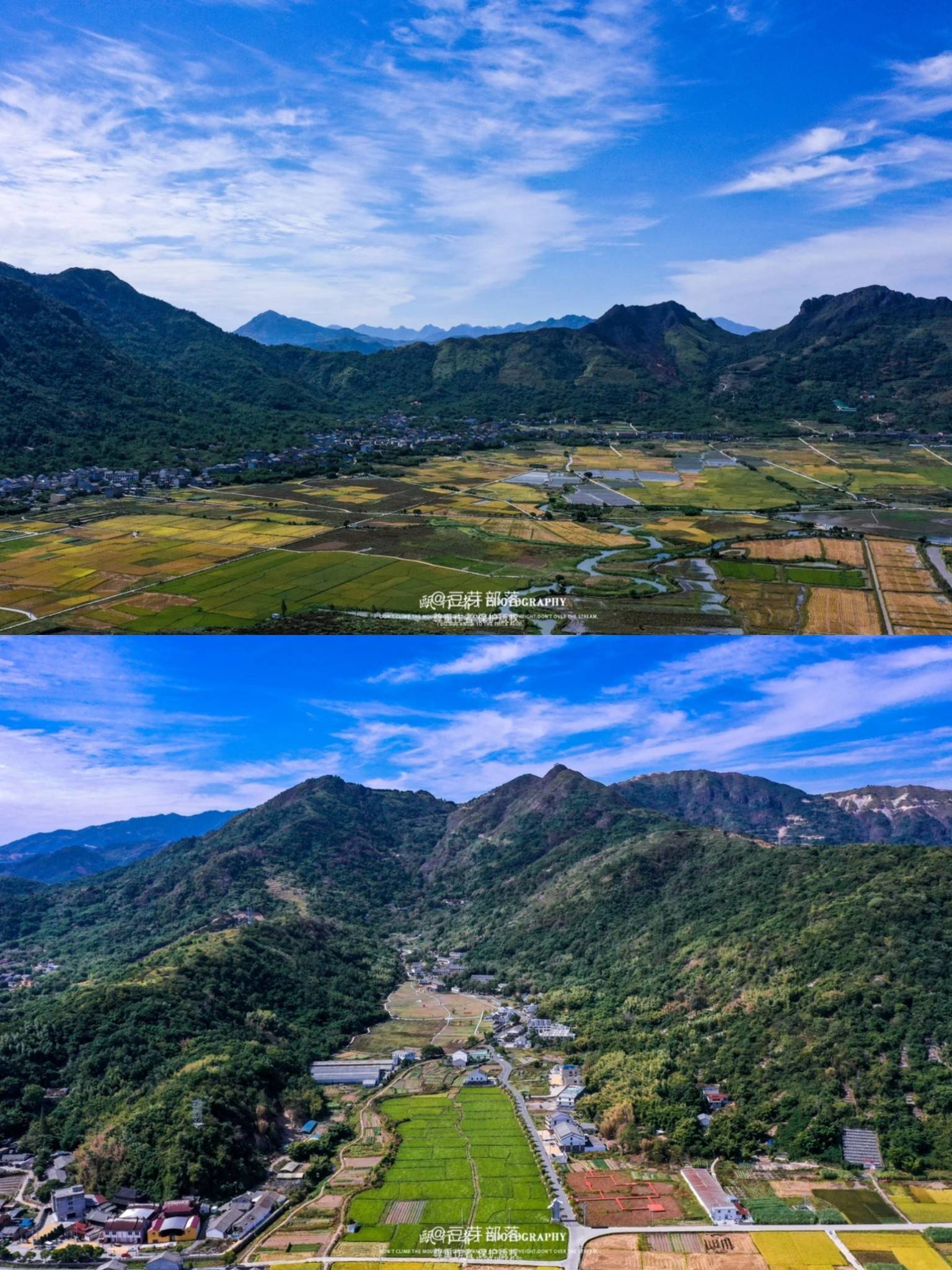 秋天颜色|平阳超治愈风景稻田里的浪漫_田野_夕阳_海洋